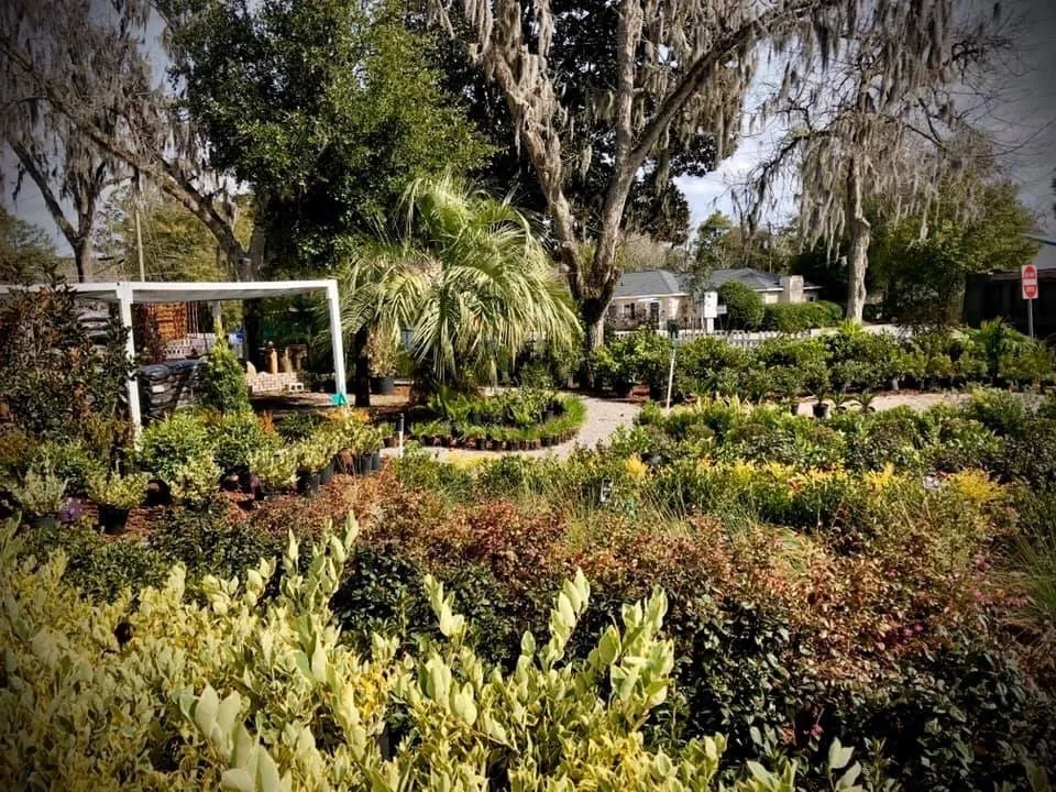 Custom yard maintenance experts serving Pooler, GA - Olde Savannah Gardens