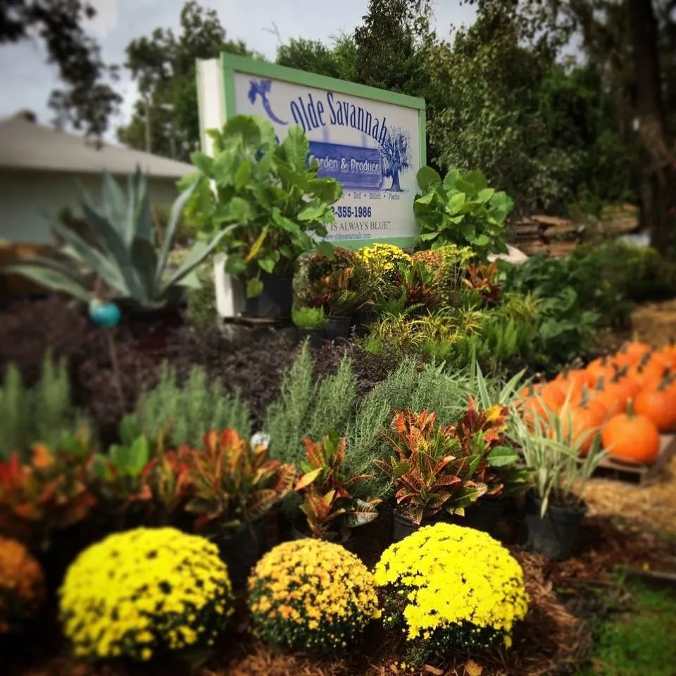 Top-rated landscape installation in Pooler, GA by Olde Savannah Gardens