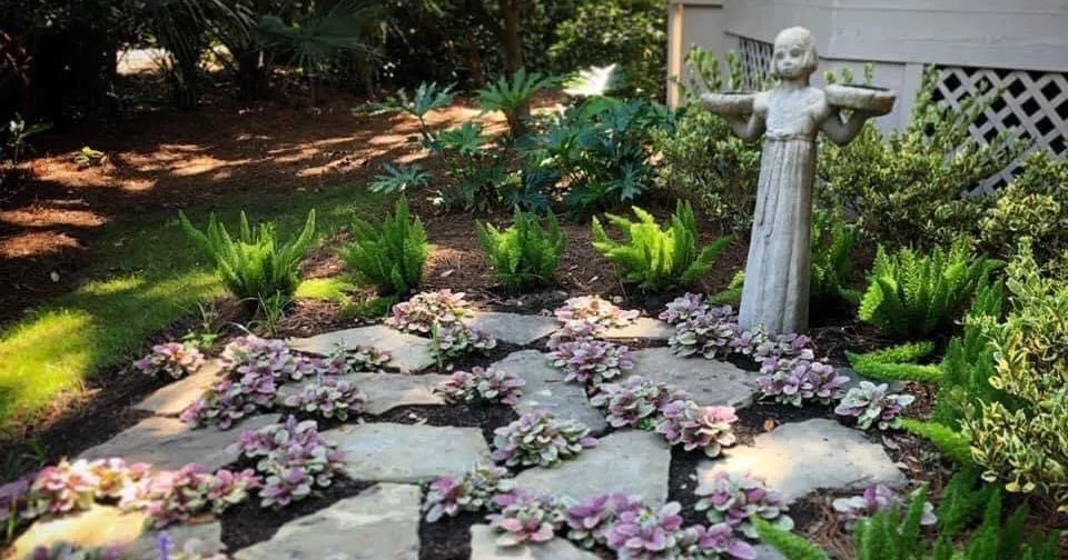 Local lawn care service experts serving Pooler, GA - Olde Savannah Gardens