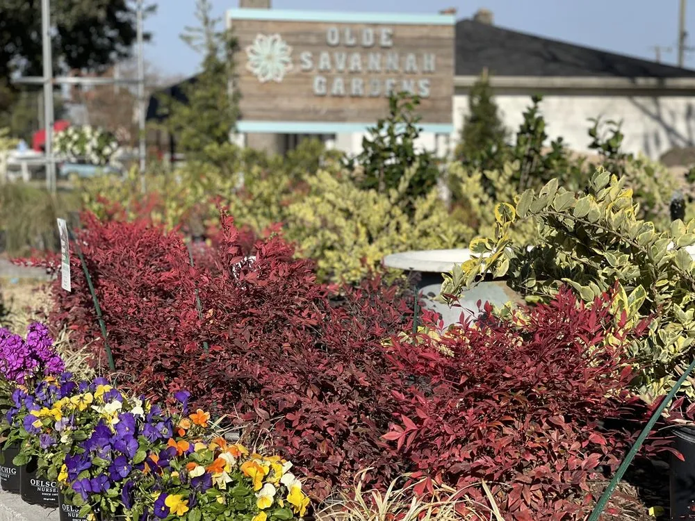 Expert lawn care service with custom design across Pooler, GA - Olde Savannah Gardens