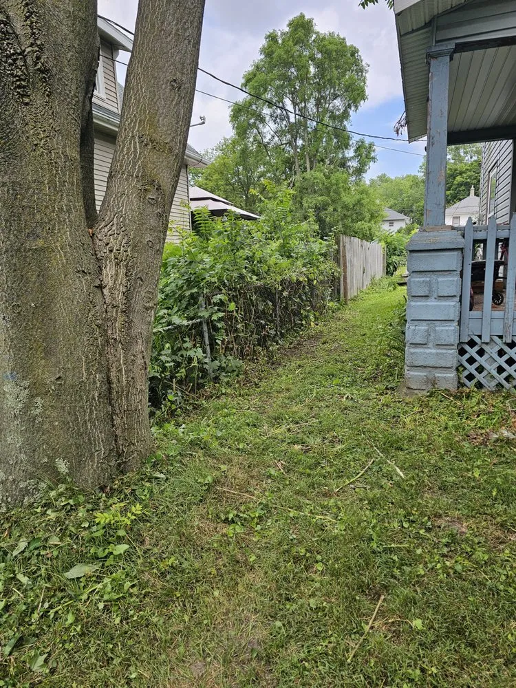 Expert yard maintenance experts serving Owosso, MI - Oldhams Lawncare