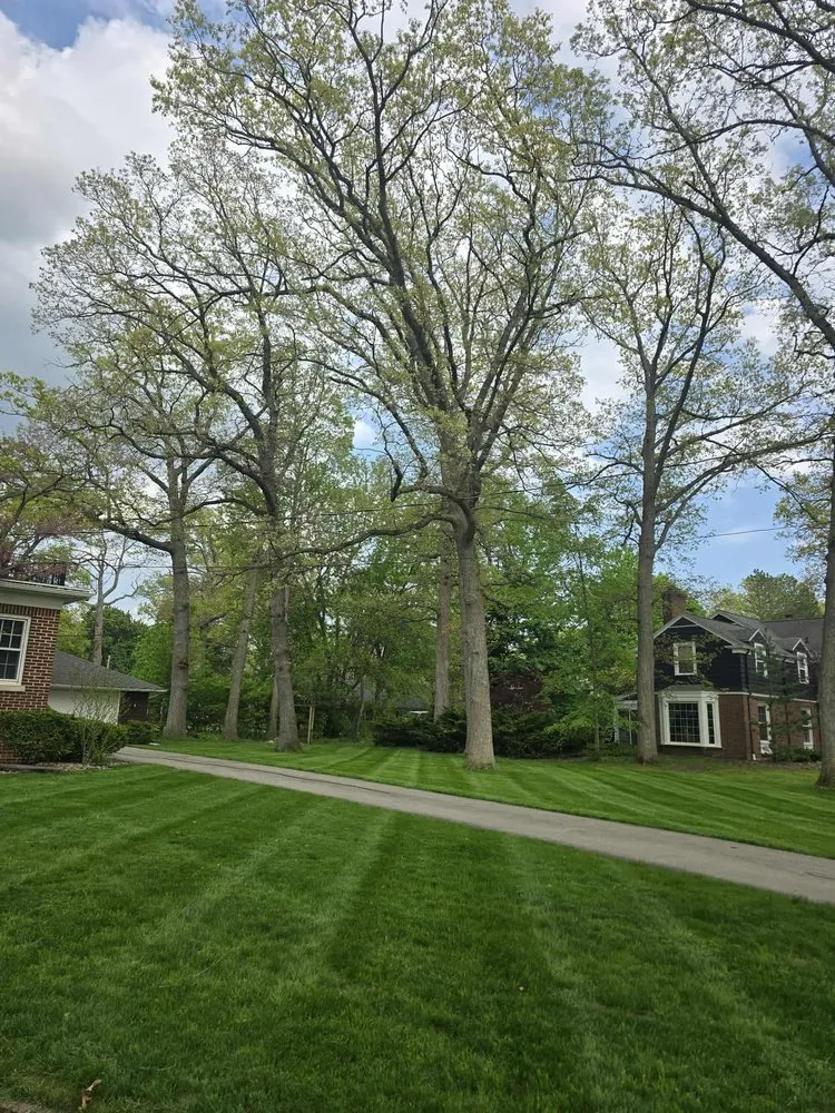 Custom landscape installation experts serving Owosso, MI - Oldhams Lawncare