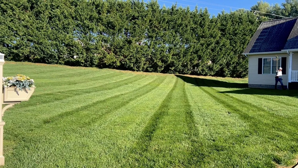 Professional yard maintenance experts serving Johnson City, TN - Ole Goat Lawn Care