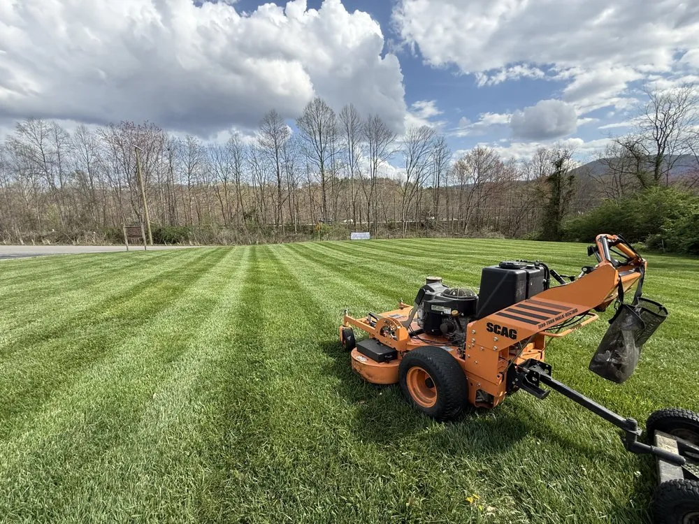 Professional yard cleanup service for homes across Johnson City, TN - Ole Goat Lawn Care