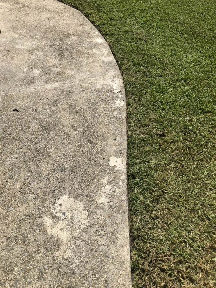 Reliable yard cleanup service experts serving Raceland, LA - Ole Guys Lawn Care Service