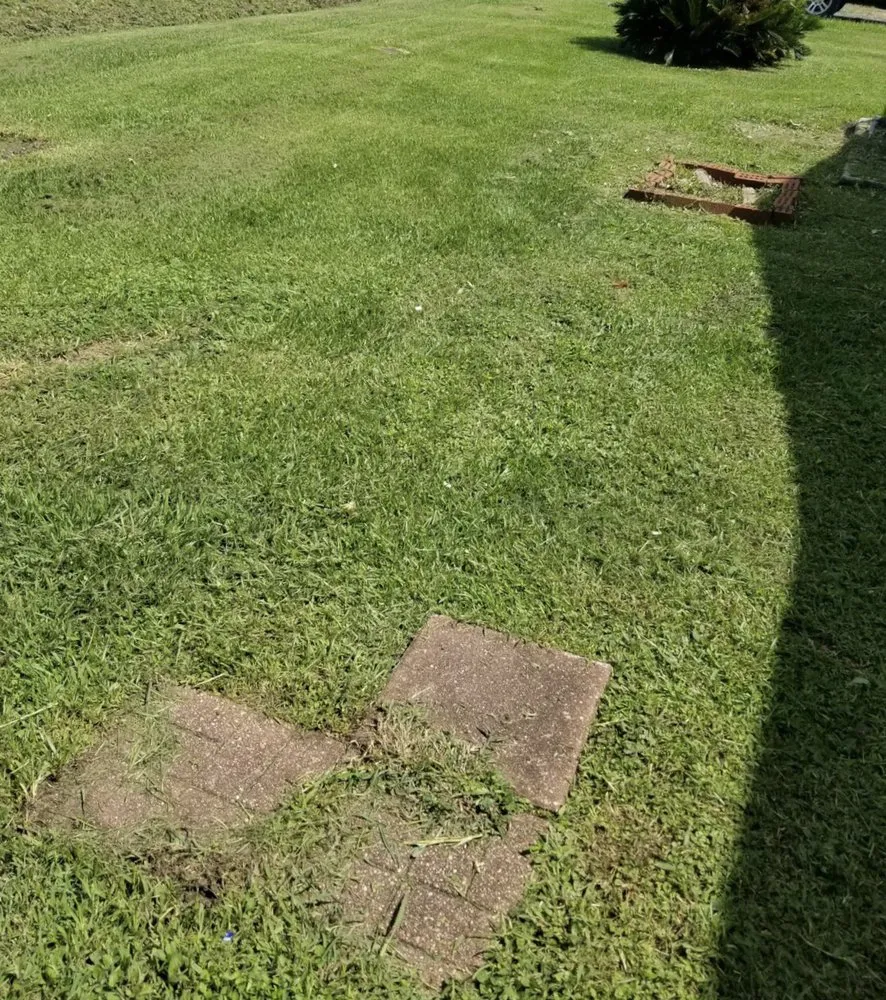 Professional lawn mowing service in Raceland, LA by Ole Guys Lawn Care Service