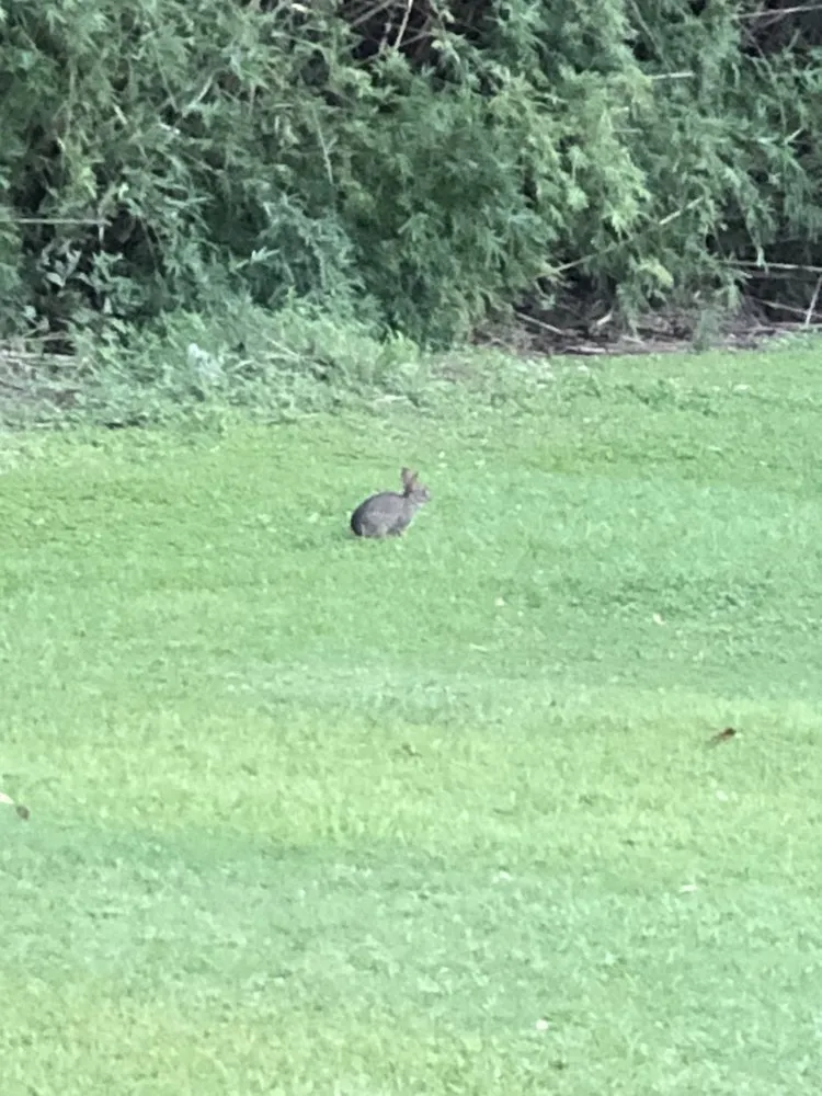 Trusted landscape installation experts serving Raceland, LA - Ole Guys Lawn Care Service