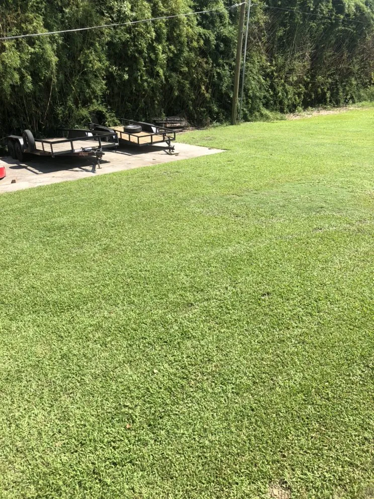Custom lawn mowing service experts serving Raceland, LA - Ole Guys Lawn Care Service