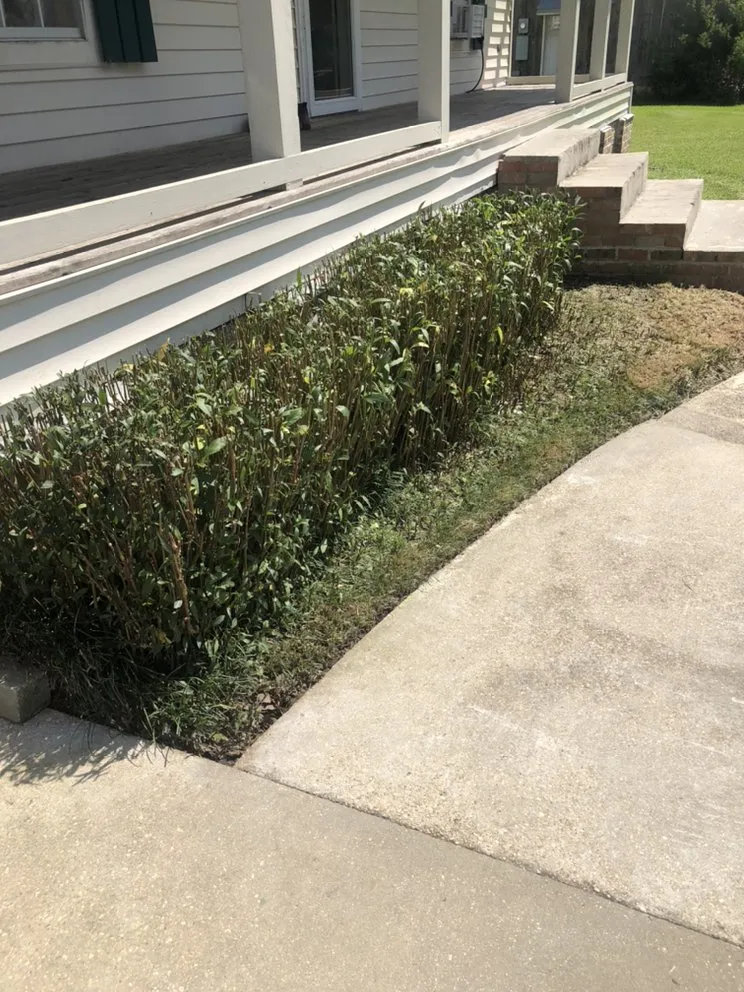 Affordable residential landscaping in Raceland, LA by Ole Guys Lawn Care Service