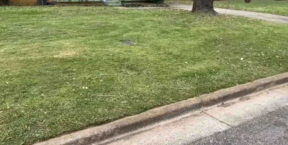 Expert yard maintenance near you in Huntsville, AL by Ole’ Harry’s Lawn Service