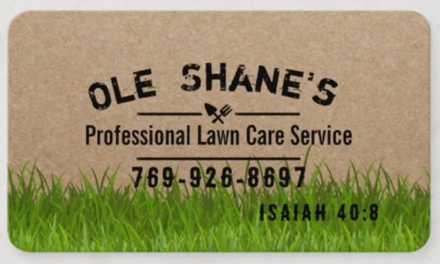 Reliable residential landscaping experts serving Carriere, MS - Ole Shane's Professional Lawn Care