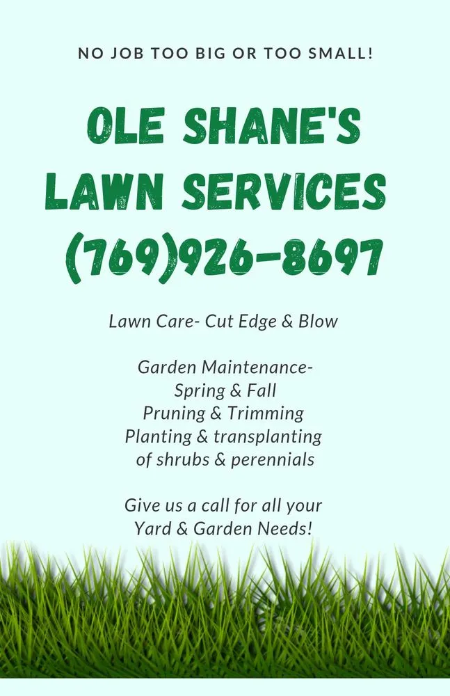 Reliable lawn care service in Carriere, MS - Ole Shane's Professional Lawn Care