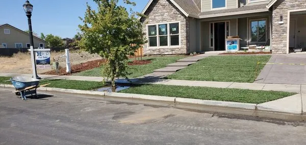 Olguin & Sons Landscaping