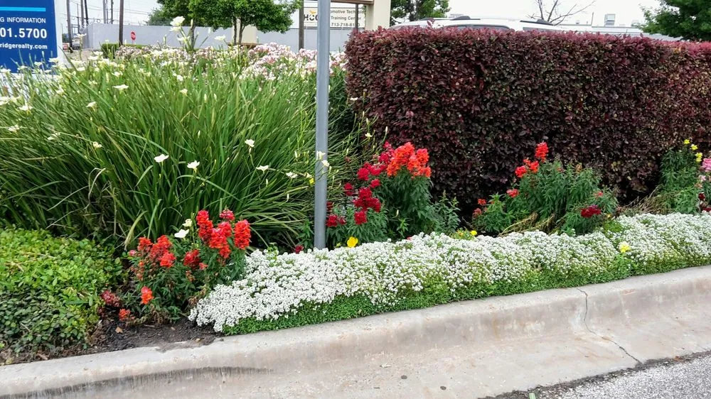 Affordable landscape design in Beaumont, TX by Olguin Bros Landscaping