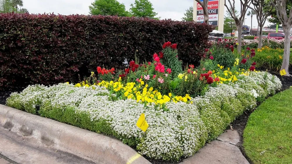 Professional residential landscaping experts serving Beaumont, TX - Olguin Bros Landscaping