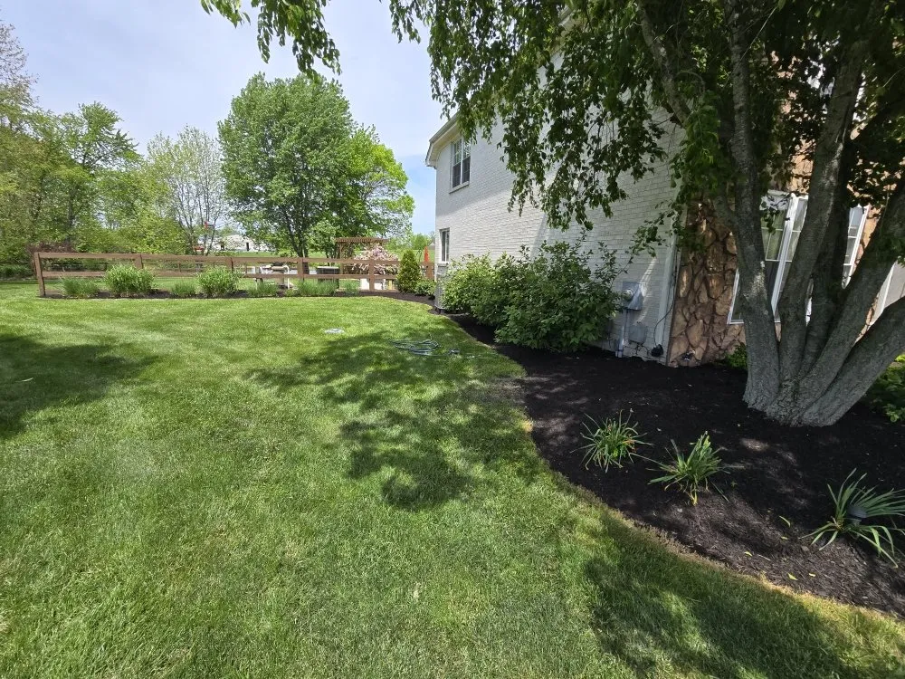 Expert yard cleanup service experts serving New Liberty, KY - Olguin Sanchez landscaping