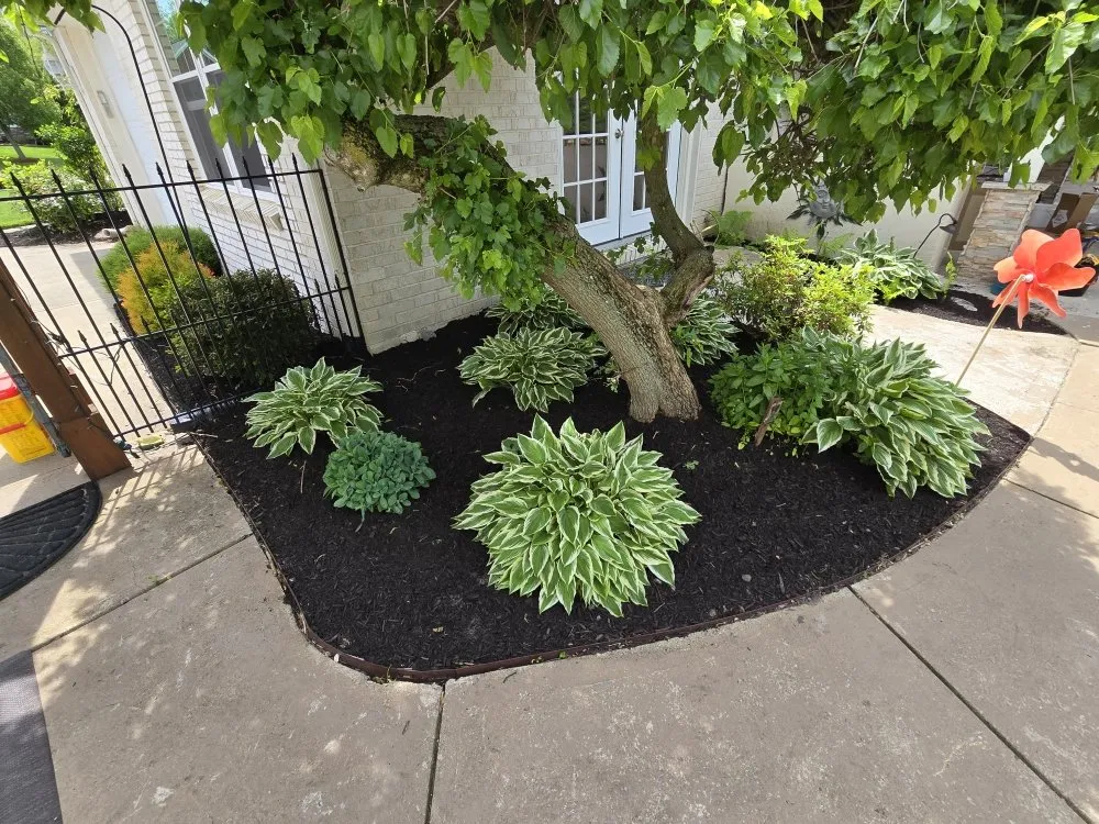 Local landscape design in New Liberty, KY by Olguin Sanchez landscaping