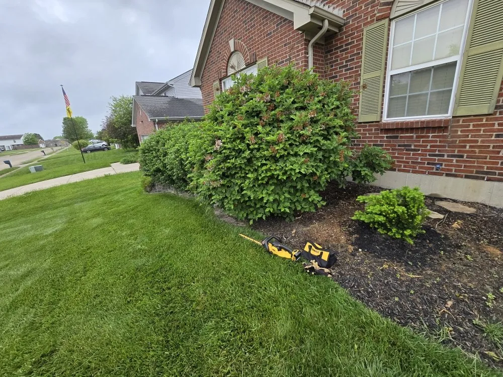 Expert landscaping services in New Liberty, KY by Olguin Sanchez landscaping