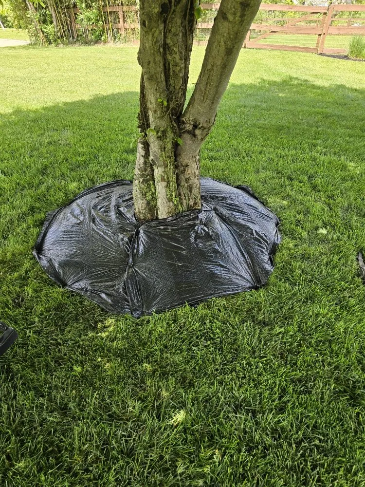 Trusted landscape design with custom design across New Liberty, KY - Olguin Sanchez landscaping