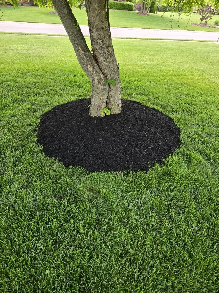 Custom lawn care service for homes in New Liberty, KY by Olguin Sanchez landscaping