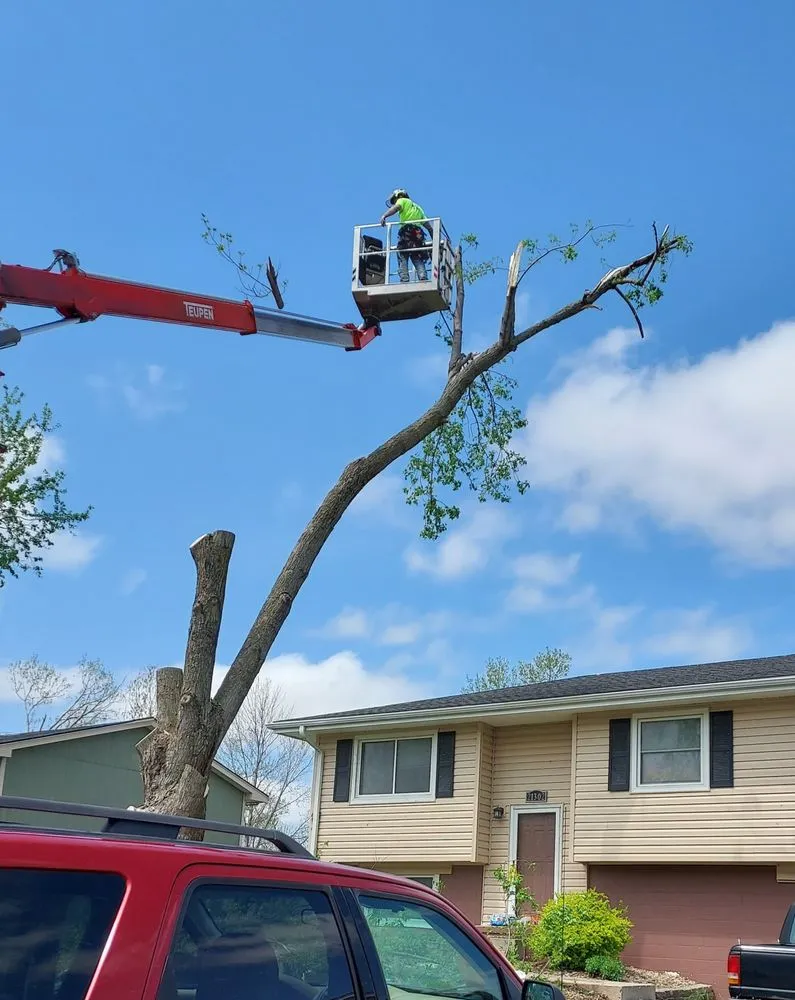 Local yard cleanup service experts serving Godfrey, IL - OLI Outdoor Services