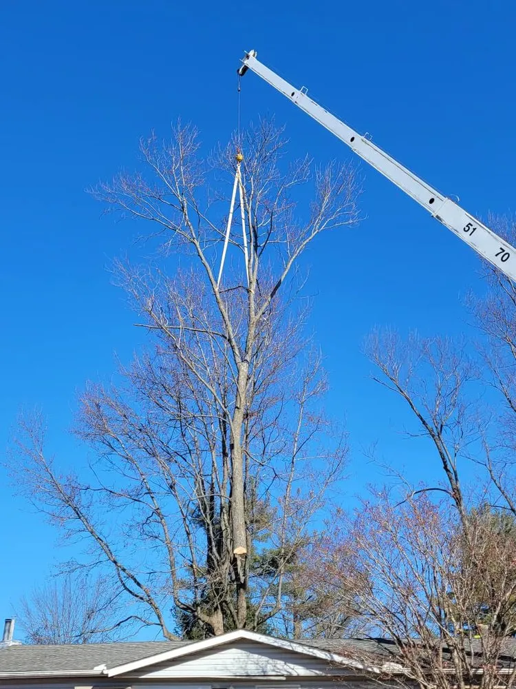 Custom lawn mowing service in Godfrey, IL - OLI Outdoor Services