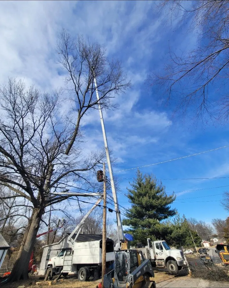 Professional landscape installation with custom design in Godfrey, IL by OLI Outdoor Services