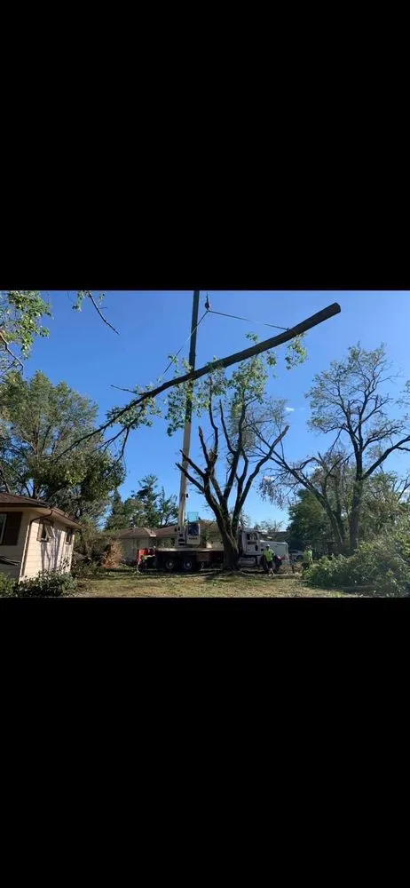 Reliable garden landscaping experts serving Godfrey, IL - OLI Outdoor Services