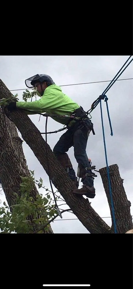 Local outdoor landscaping in Godfrey, IL by OLI Outdoor Services