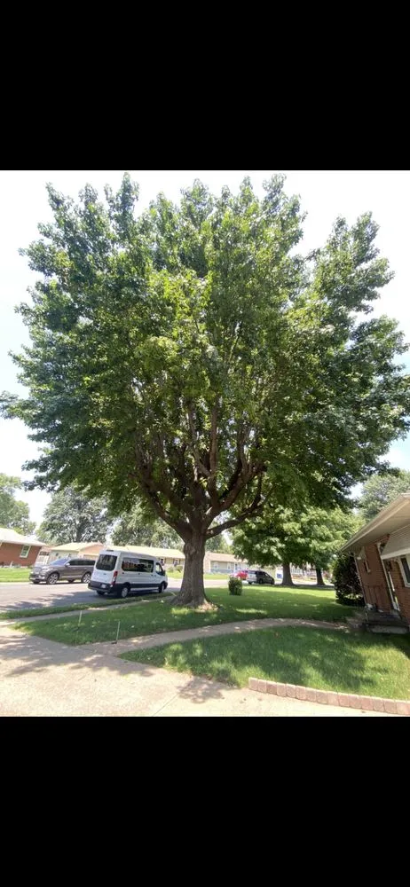 Local lawn mowing service with custom design in Godfrey, IL by OLI Outdoor Services