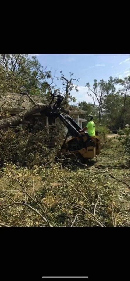 Reliable landscaping services for outdoor upgrades in Godfrey, IL by OLI Outdoor Services