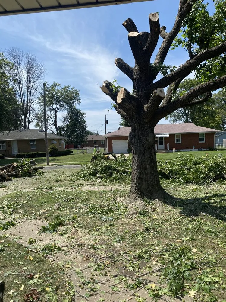 Affordable landscaping services for homes across Godfrey, IL - OLI Outdoor Services