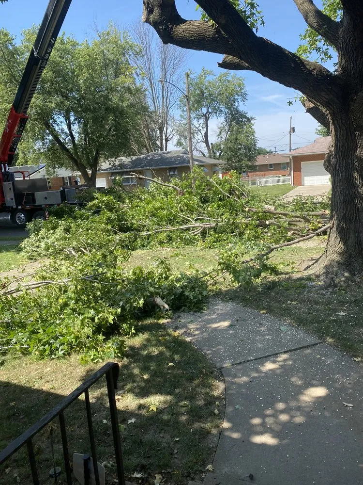 Top-rated residential landscaping in Godfrey, IL - OLI Outdoor Services