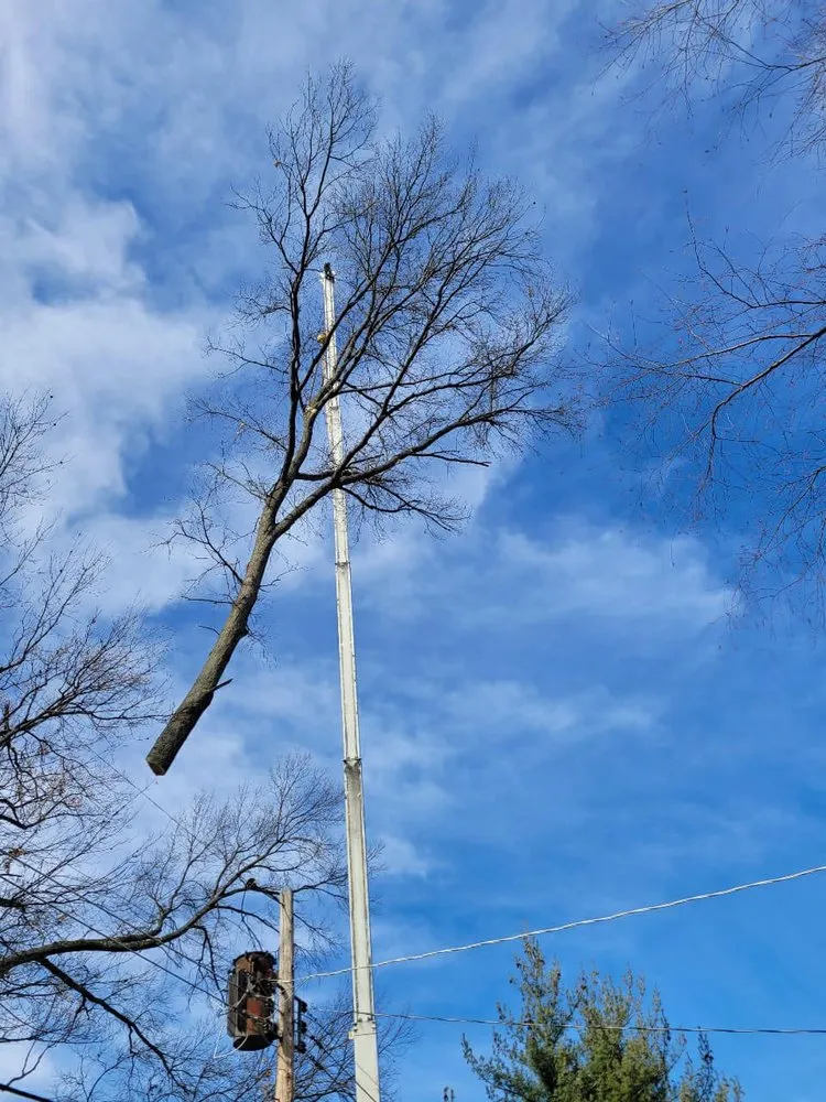 Local outdoor landscaping in Godfrey, IL - OLI Outdoor Services