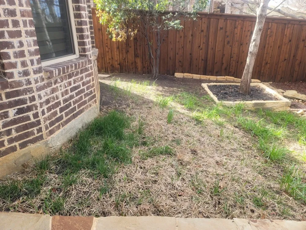 Professional outdoor landscaping in Lake Dallas, TX - Olin Landscape Maintenance