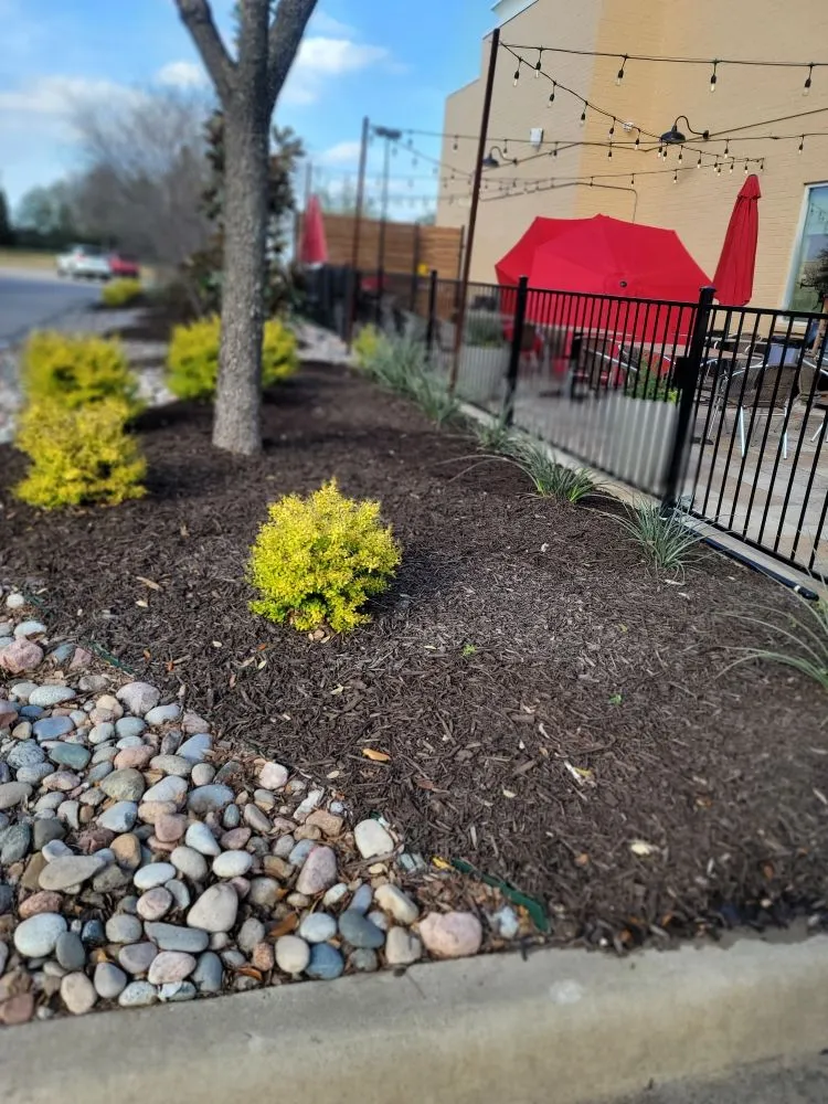 Expert landscaping services for year-round maintenance in Lake Dallas, TX by Olin Landscape Maintenance