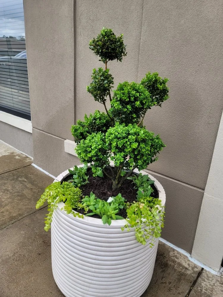 Custom residential landscaping in Lake Dallas, TX - Olin Landscape Maintenance