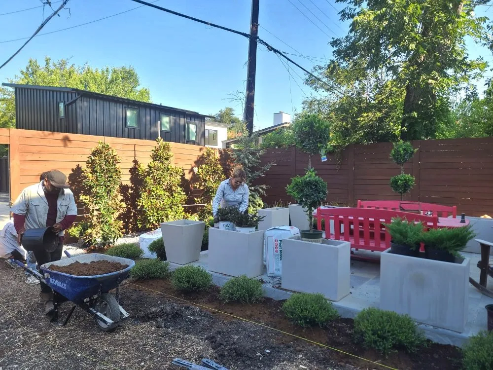 Trusted yard cleanup service near you across Lake Dallas, TX - Olin Landscape Maintenance