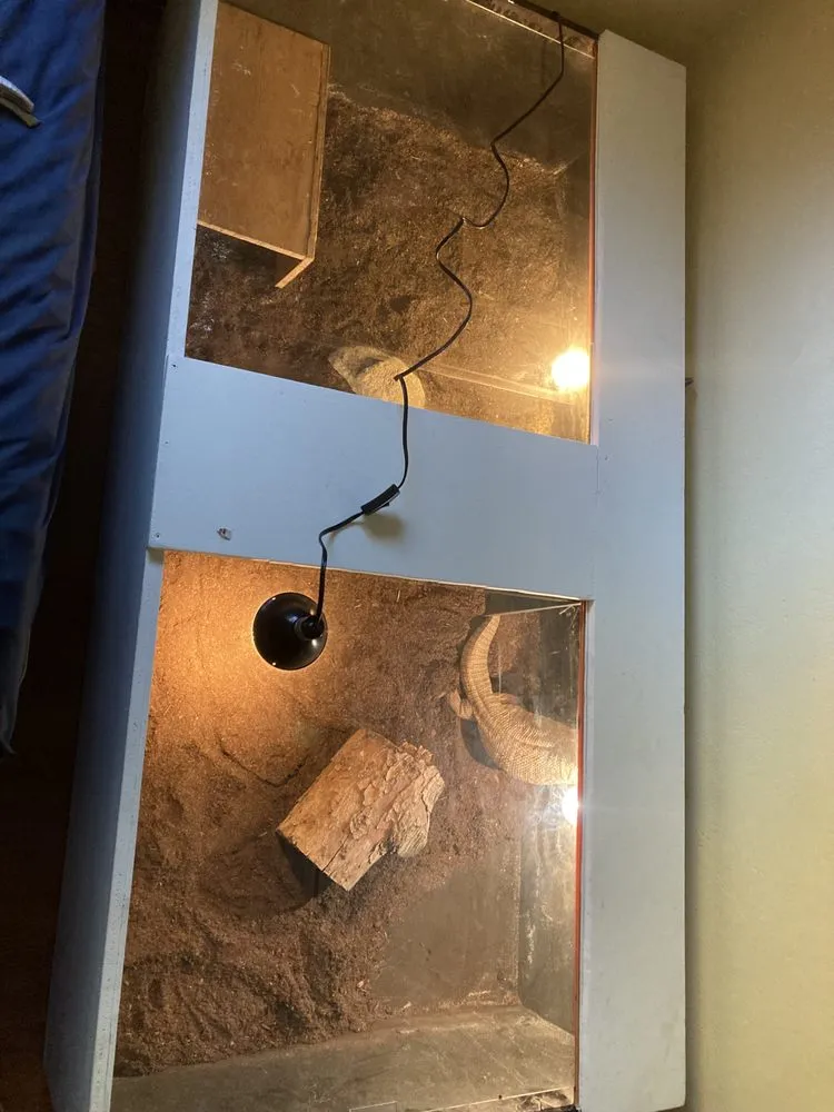 Professional yard maintenance for homes in Yucca Valley, CA by Olin Sather