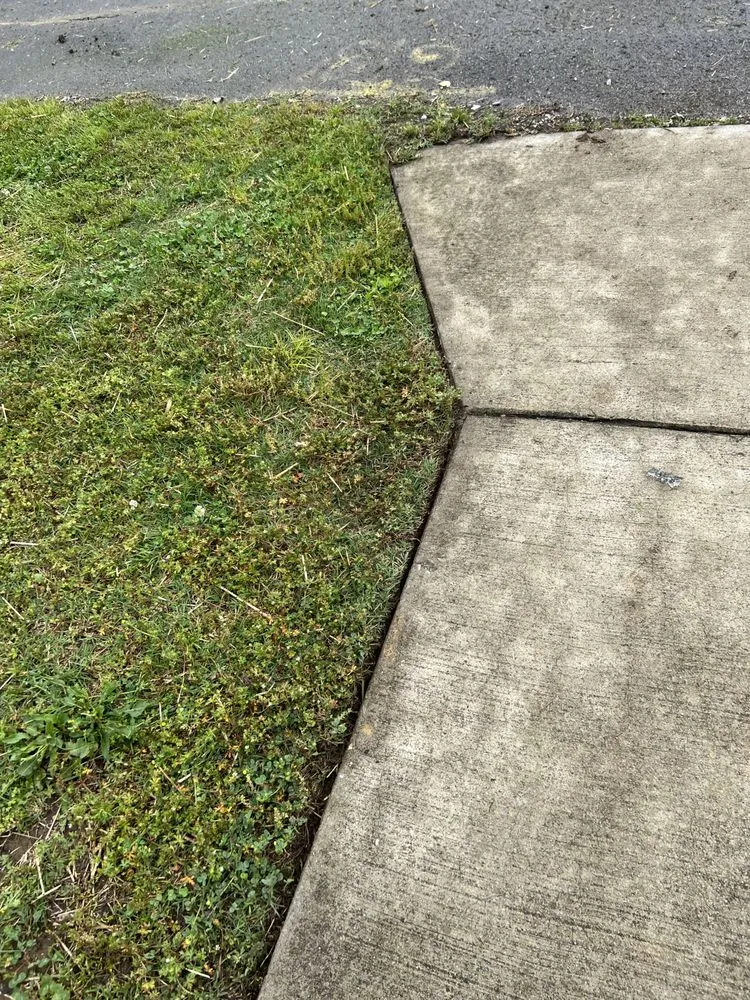 Affordable landscaping services in Greenbrier, TN by Oliphant and Sons Lawn Care and Landscaping Services