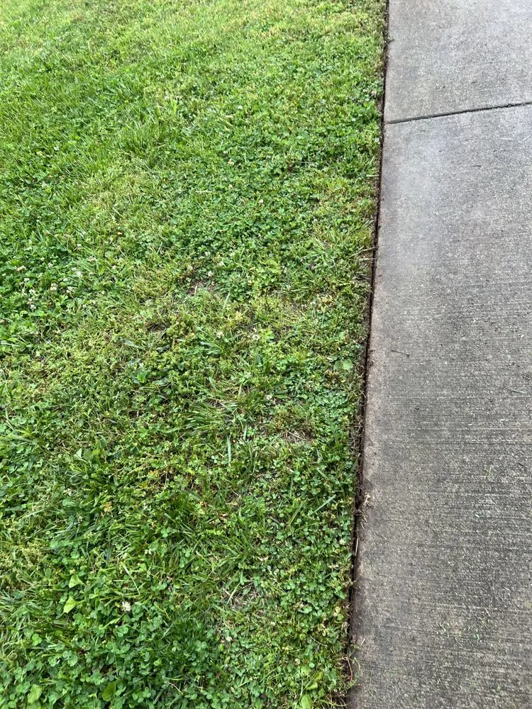 Professional landscape design with custom design across Greenbrier, TN - Oliphant and Sons Lawn Care and Landscaping Services