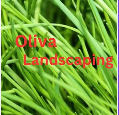 Oliva Landscaping Logo