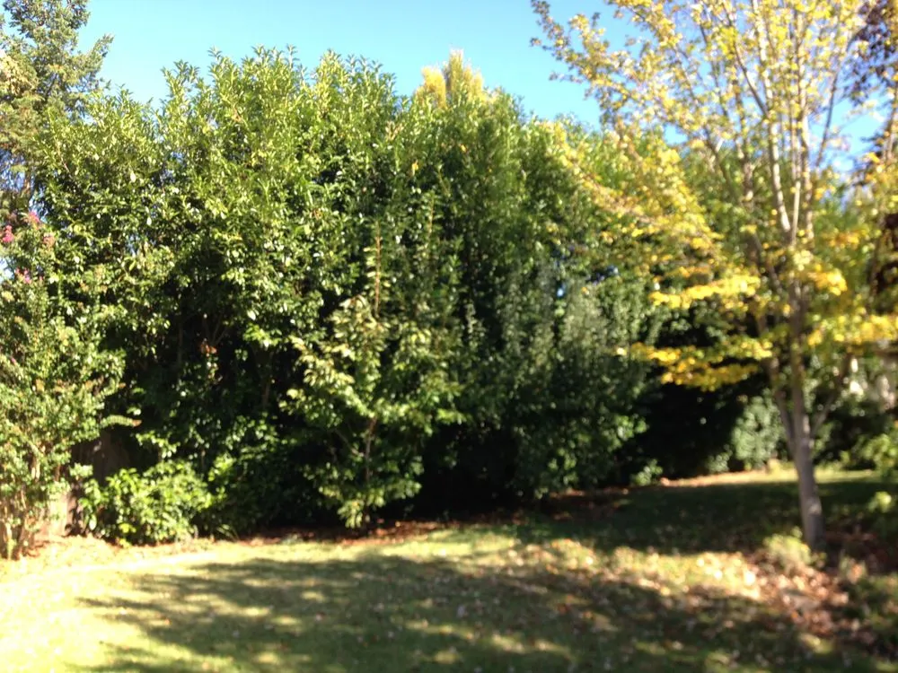 Expert landscape installation near you across Central Point, OR - Oliva Lawn Care