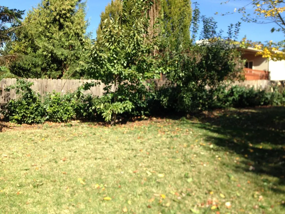 Top-rated yard maintenance in Central Point, OR - Oliva Lawn Care