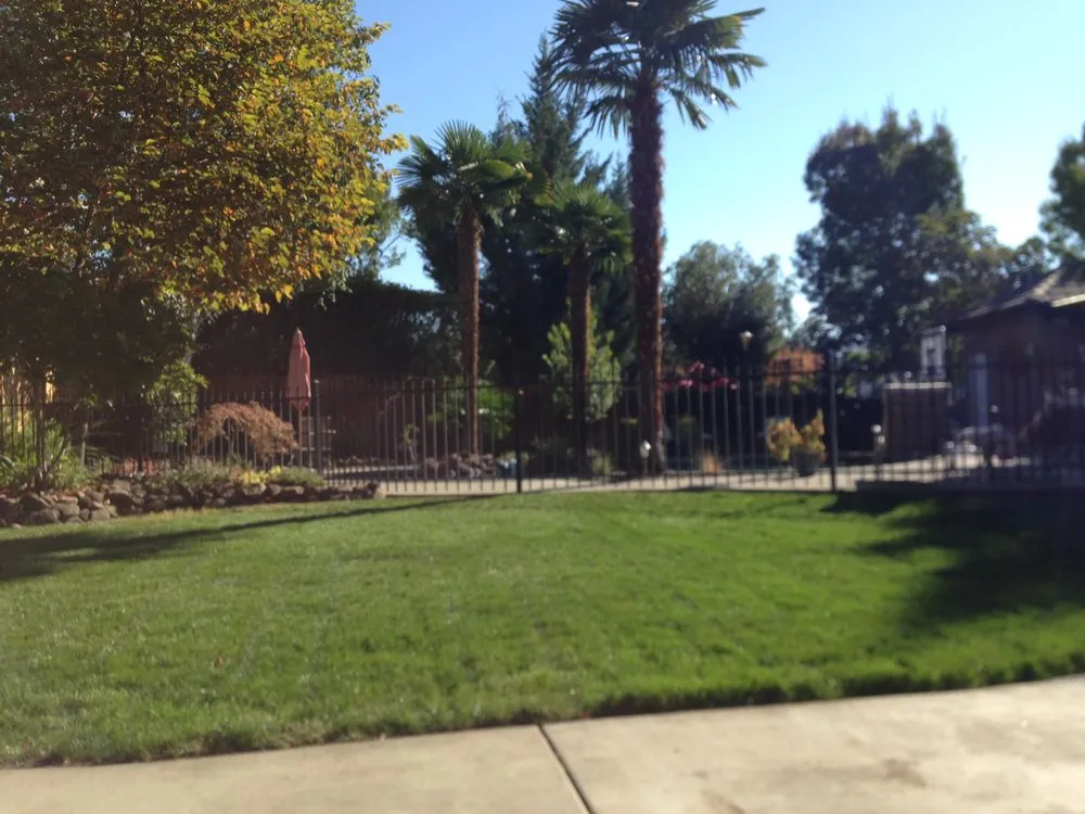 Top-rated yard cleanup service in Central Point, OR by Oliva Lawn Care