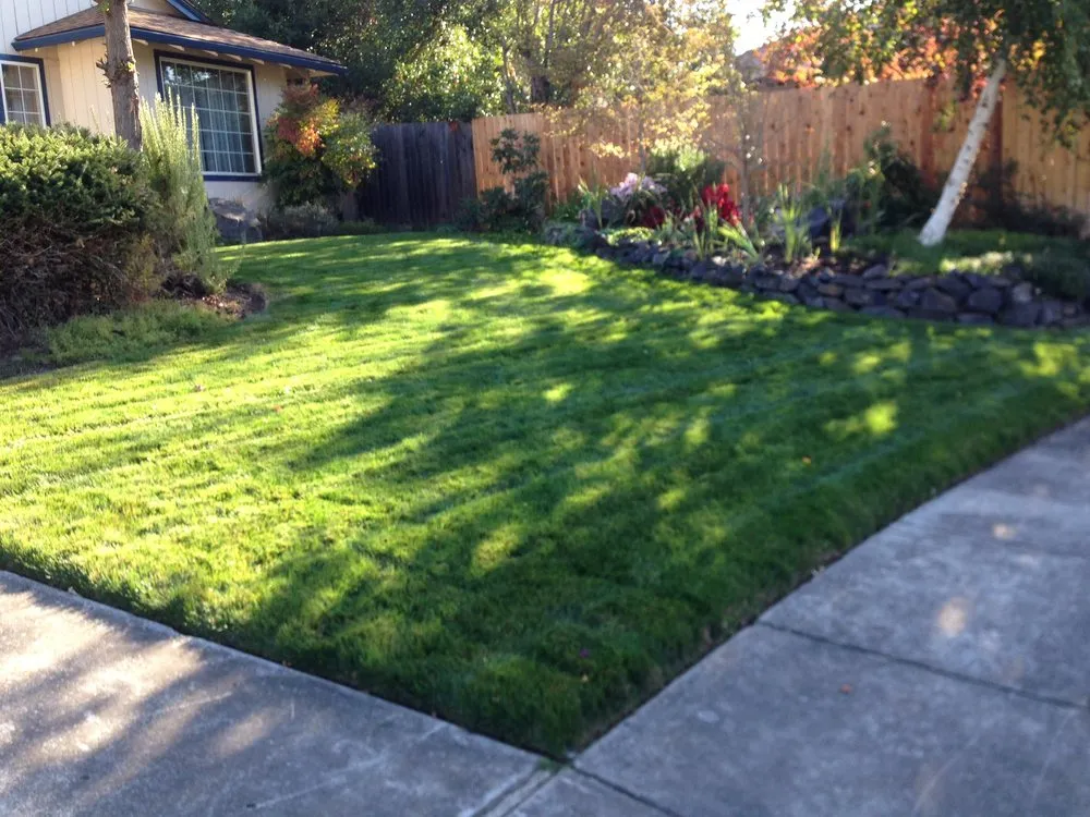 Professional lawn care service for residential properties in Central Point, OR by Oliva Lawn Care