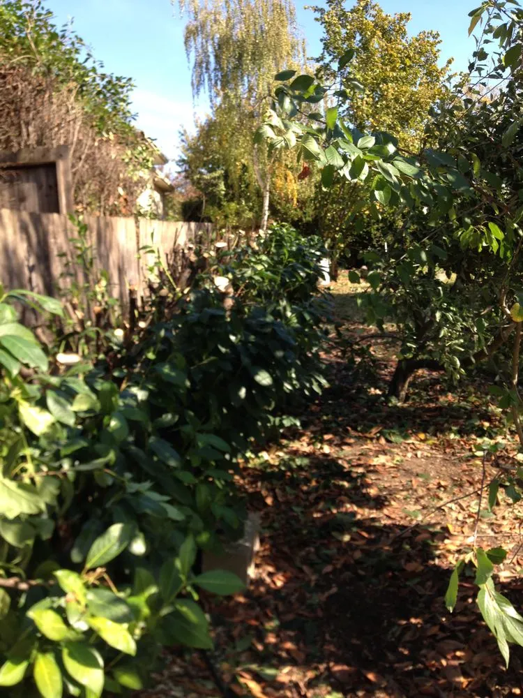 Top-rated garden landscaping for homes in Central Point, OR by Oliva Lawn Care