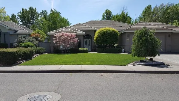 Oliva Lawn Care Logo