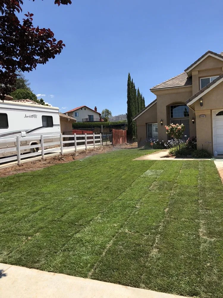 Reliable yard maintenance for residential properties across Calimesa, CA - Oliva Lawn Service