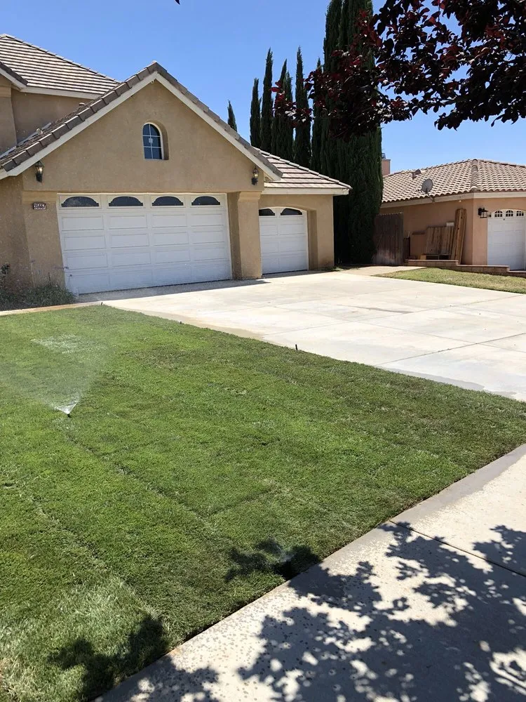 Affordable lawn care service in Calimesa, CA by Oliva Lawn Service